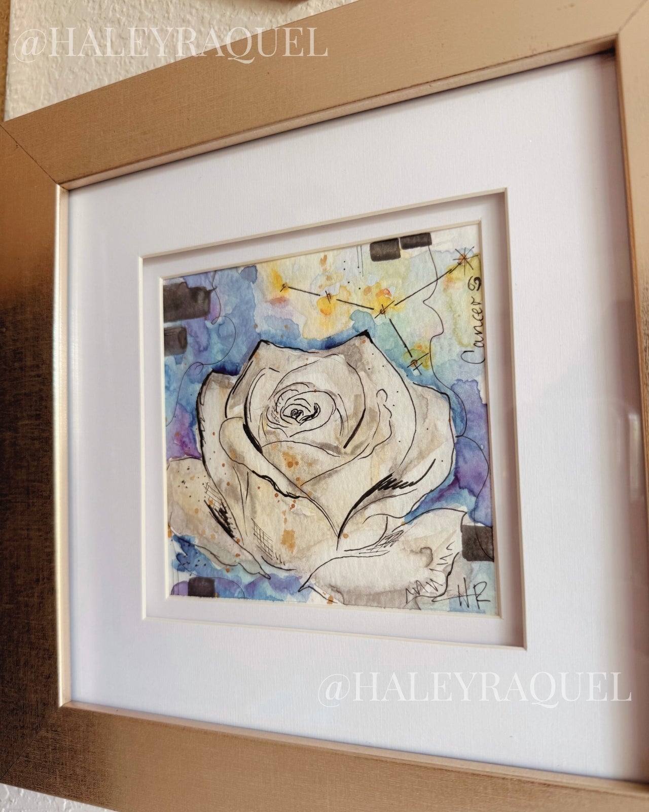 Cancer: White Rose