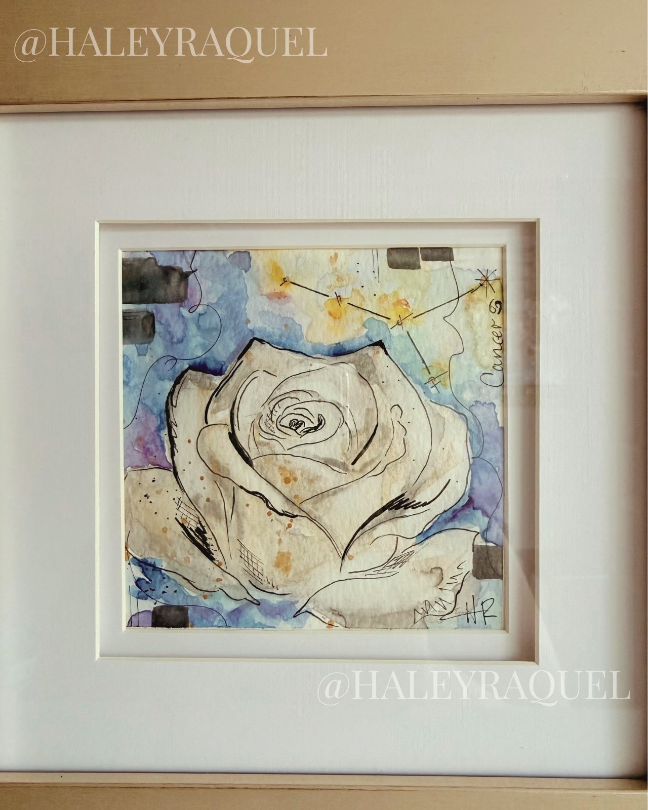 Cancer: White Rose