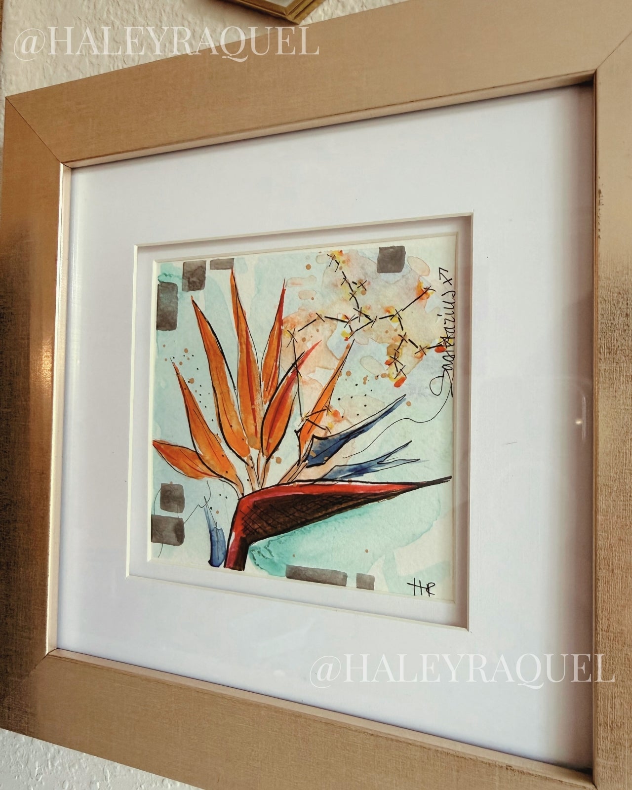 Sagittarius: Birds of Paradise
