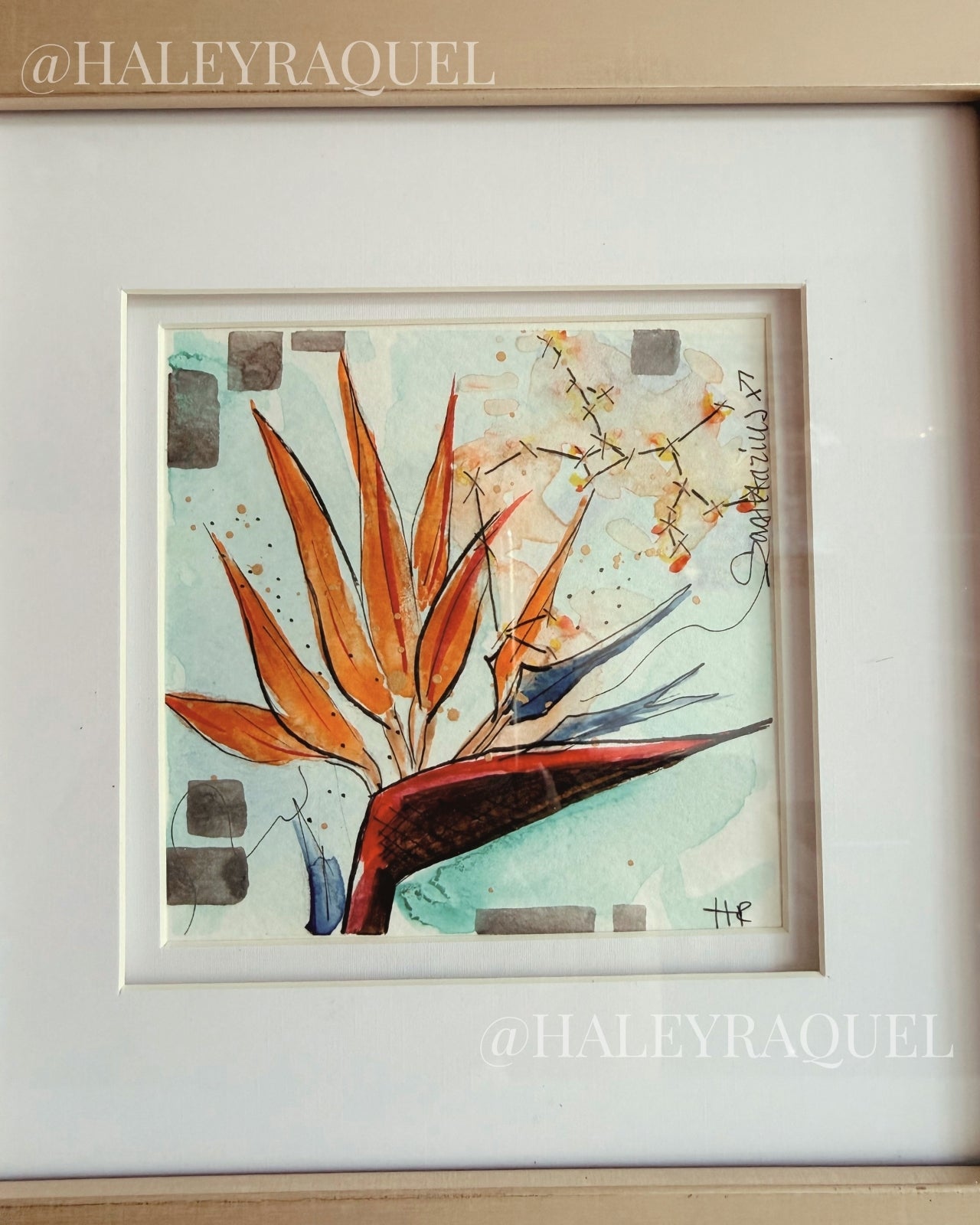 Sagittarius: Birds of Paradise